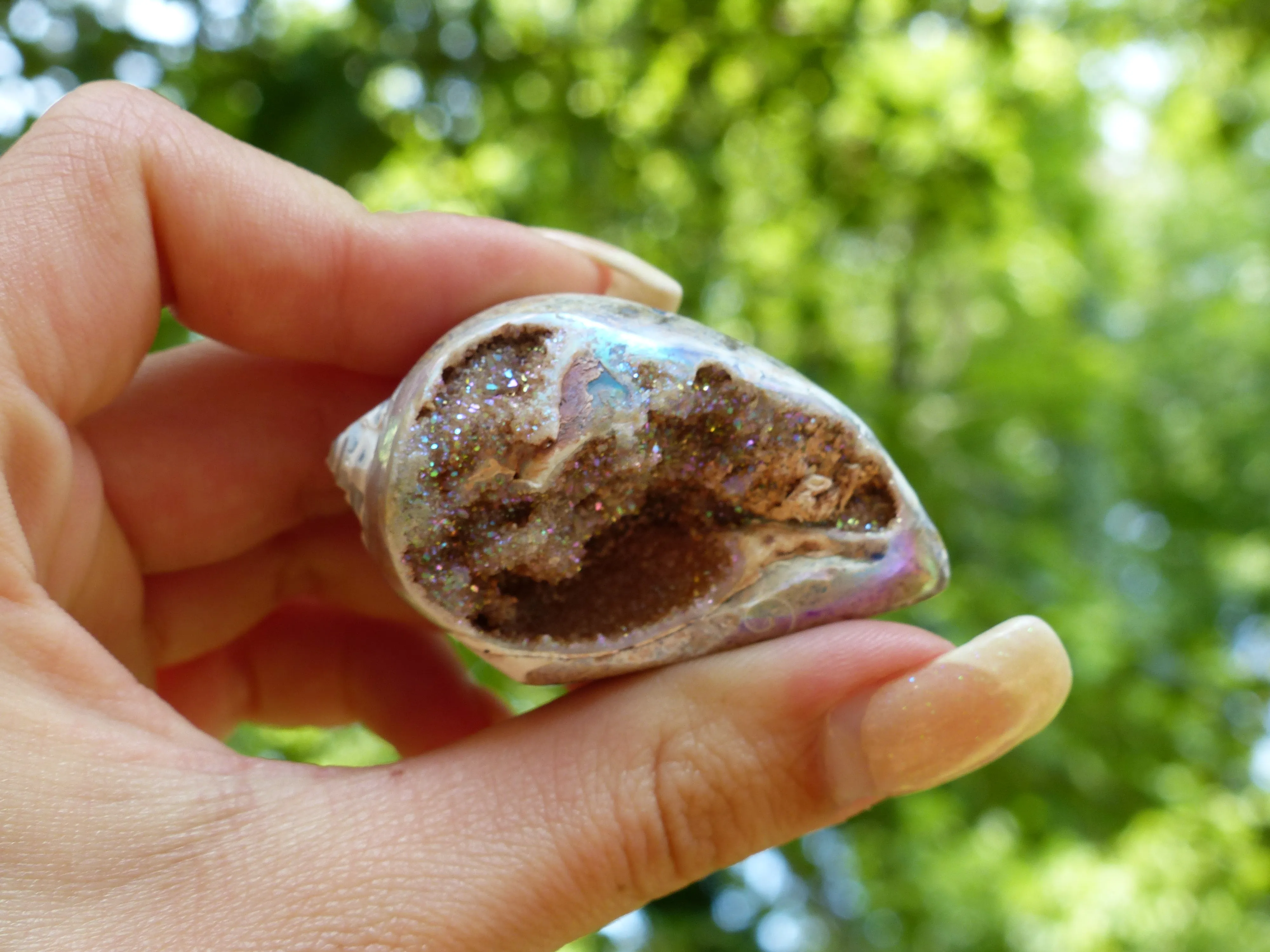 Aura Druzy Shell (#3)